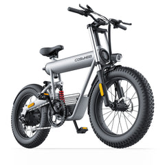 T20 EBIKE