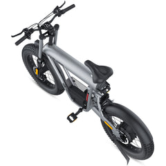 T20 EBIKE