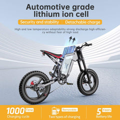 2000W 20 inch Fat Tire 48V Electric Adult eBike