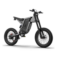 2000W 20 inch Fat Tire 48V Electric Adult eBike