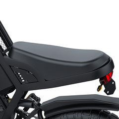 GT20 EBIKE