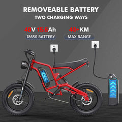 B6 Electric Mountain Bike 48v 1200w