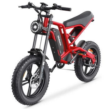 B6 Electric Mountain Bike 48v 1200w