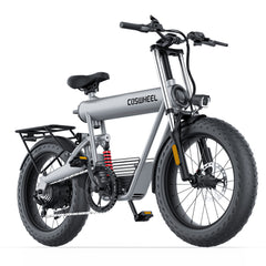 T20 EBIKE