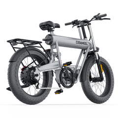 T20 EBIKE