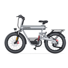 T20 EBIKE