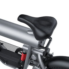 T20 EBIKE